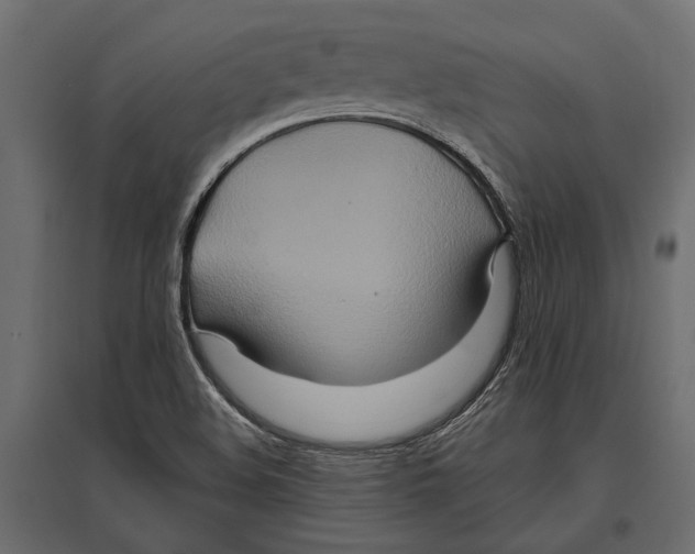 X0000096991508200803071041