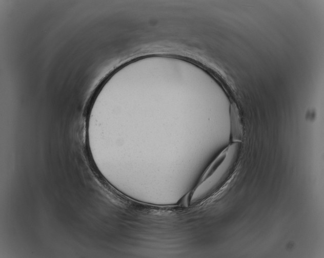 X0000096991509200803071041