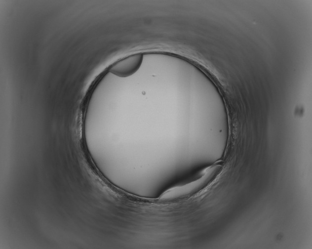 X0000096991510200803071041