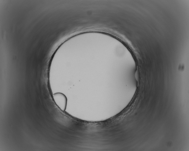 X0000096991512200803071041