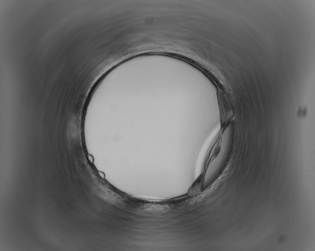 X0000096991513200803071041