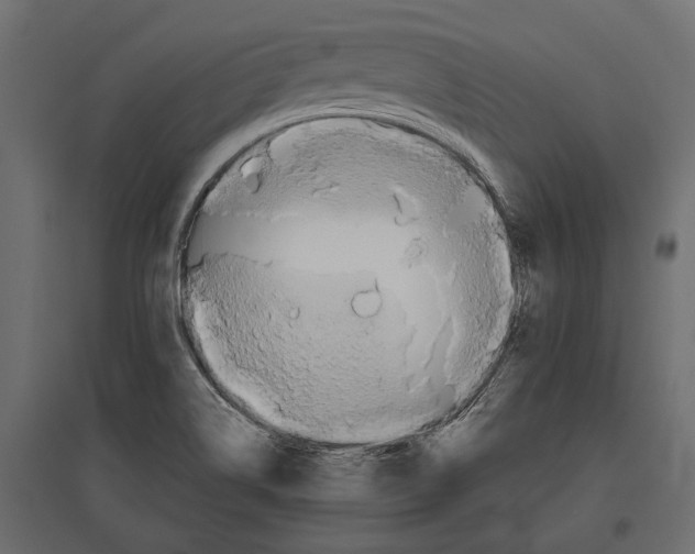 X0000096991514200803071041