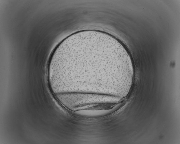 X0000096991517200803071041