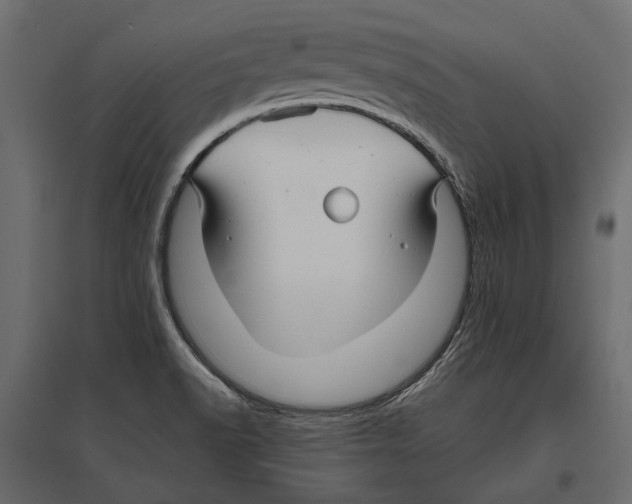 X0000096991518200803071041