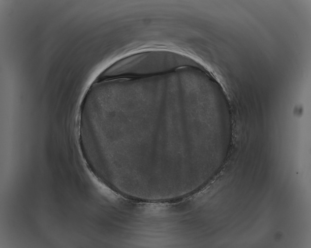 X0000096991519200803071041