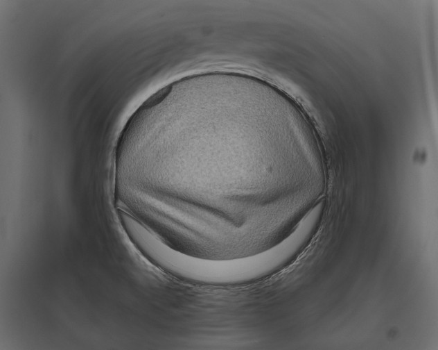 X0000096991520200803071041