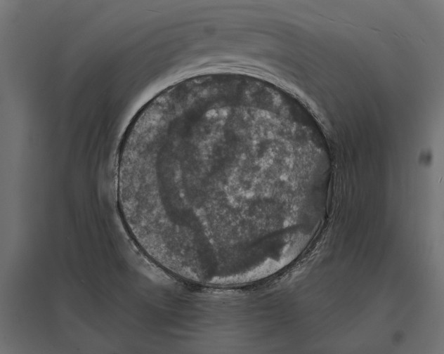 X0000096991522200803071041