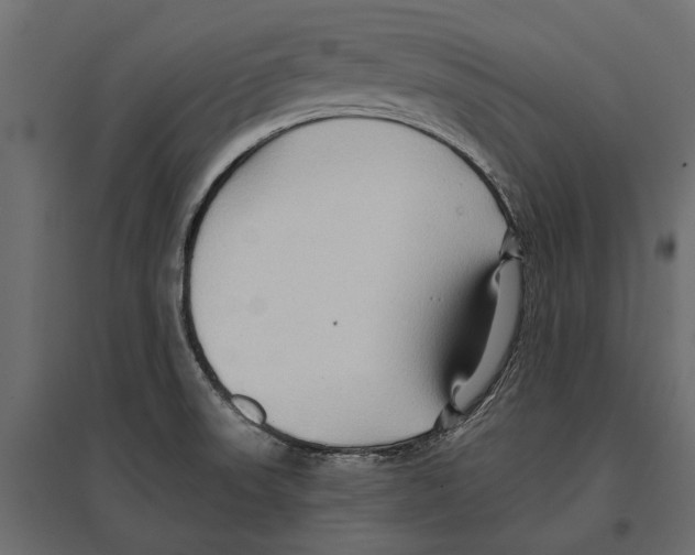 X0000096991523200803071041