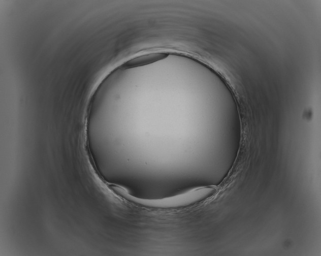 X0000096991524200803071041