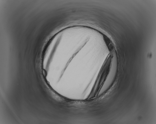 X0000096991525200803071041