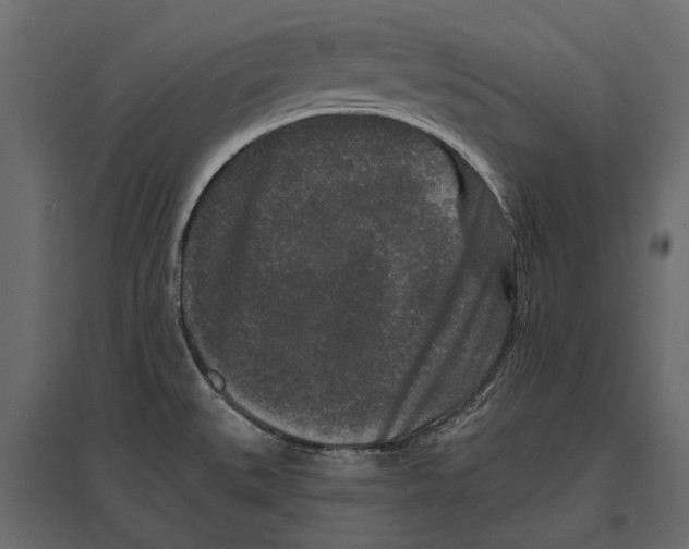 X0000096991527200803071041