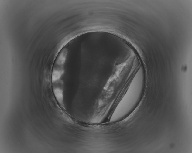 X0000096991529200803071041