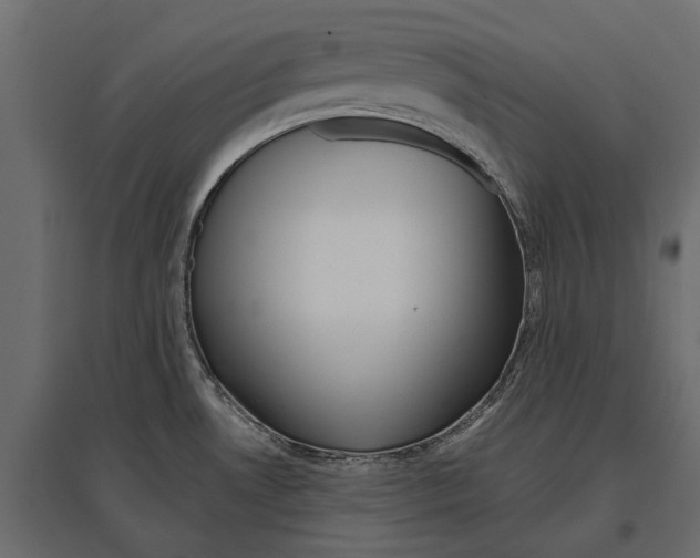 X0000096991530200803071041