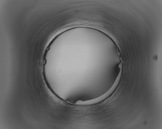 X0000096991531200803071041