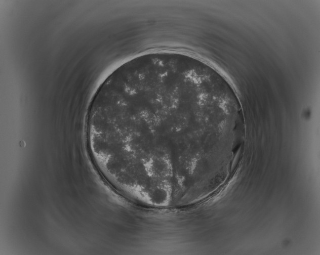 X0000096991533200803071041