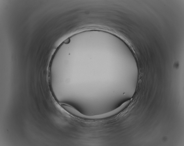 X0000096991535200803071041