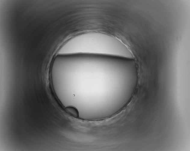 X0000097000002200802081037