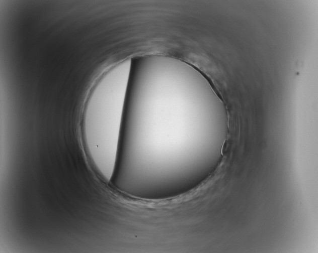 X0000097000003200802081037