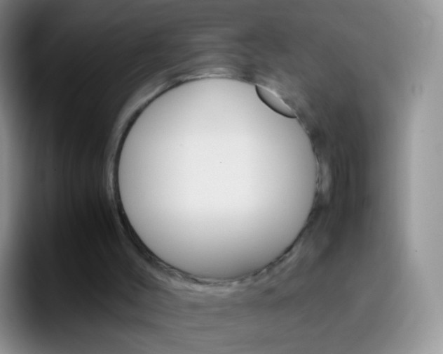X0000097000004200802081037
