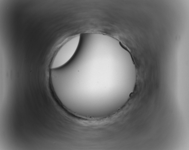 X0000097000005200802081037