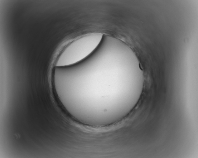 X0000097000006200802081037