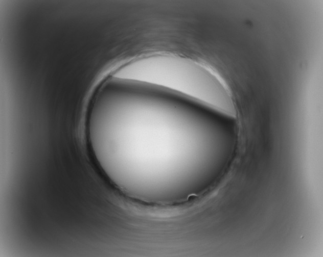 X0000097000008200802081037