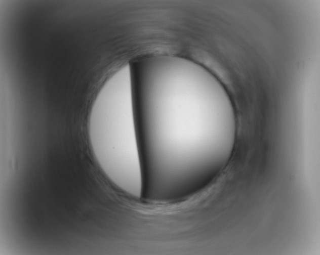 X0000097000009200802081037