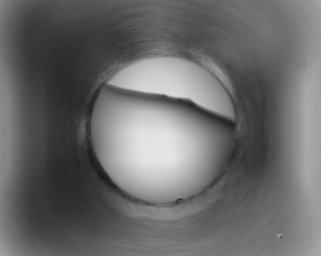 X0000097000010200802081037
