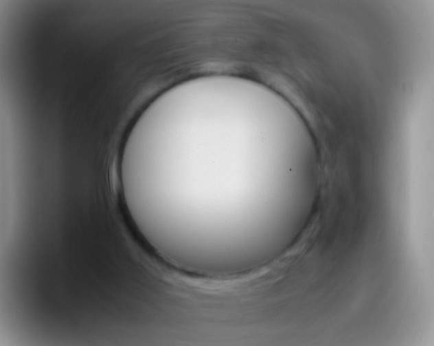 X0000097000011200802081037