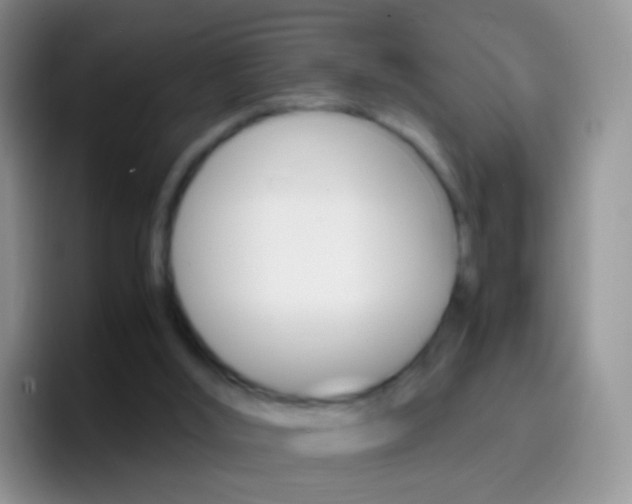 X0000097000012200802081037