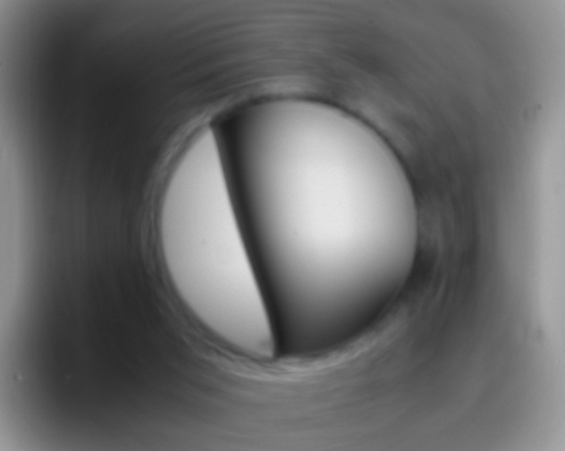 X0000097000015200802081037