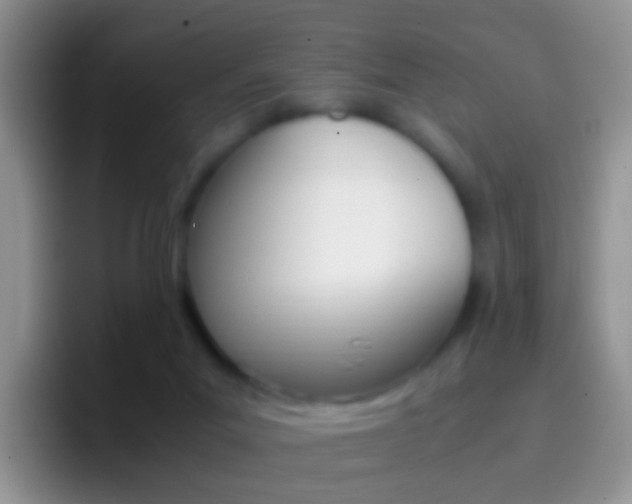 X0000097000023200802081037