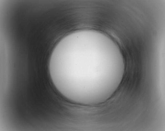 X0000097000024200802081037