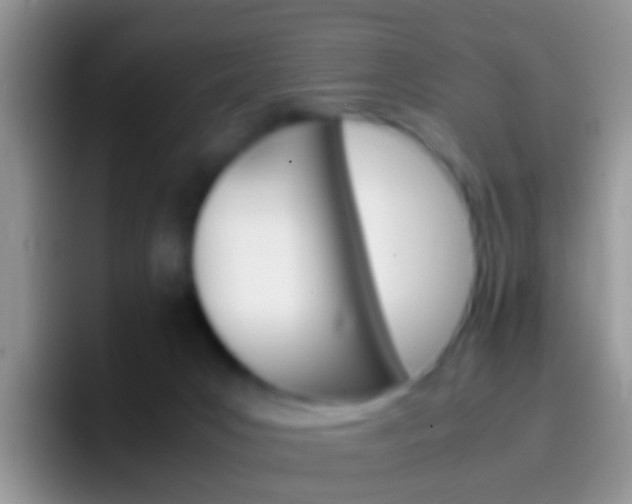 X0000097000031200802081037