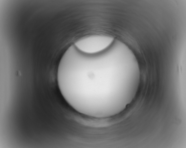 X0000097000032200802081037