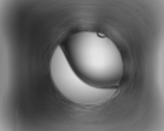 X0000097000033200802081037