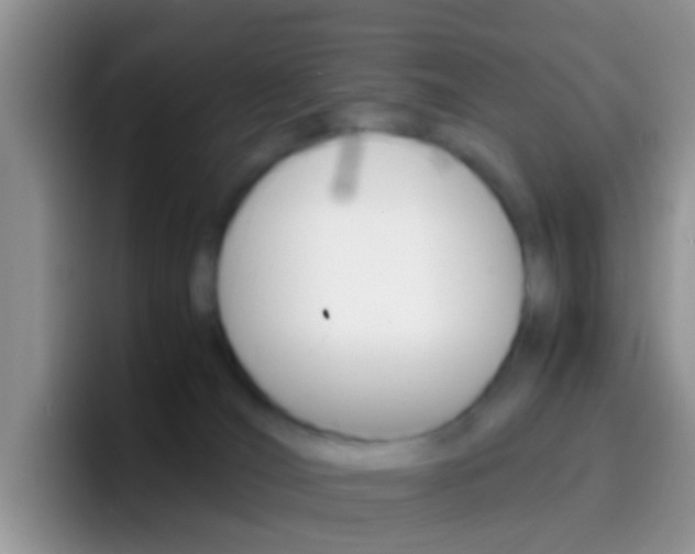 X0000097000036200802081037