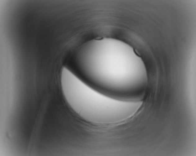 X0000097000037200802081037