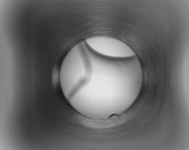 X0000097000042200802081037