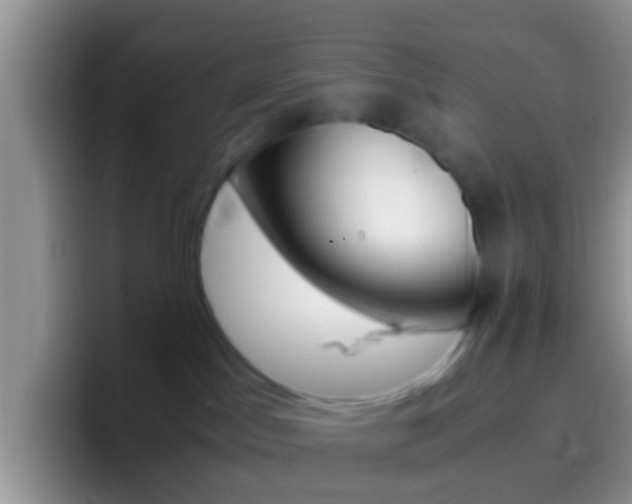 X0000097000045200802081037
