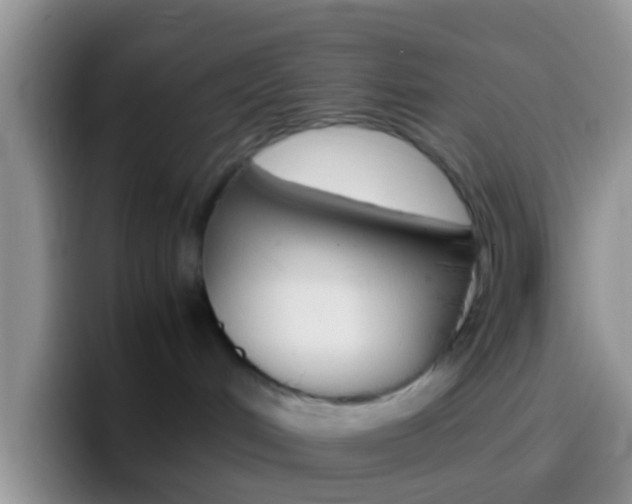 X0000097000048200802081037