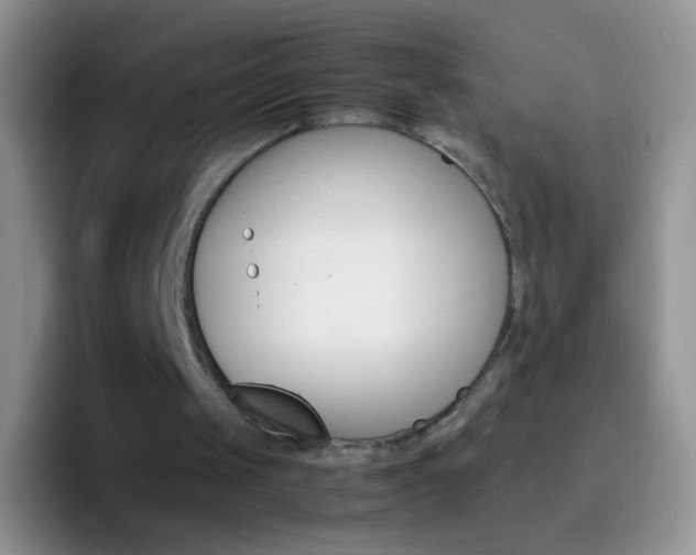 X0000097000049200802081036
