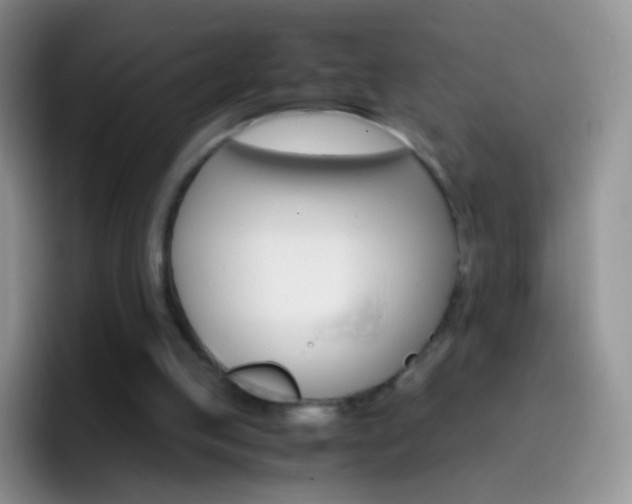 X0000097000053200802081036