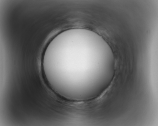 X0000097000054200802081036