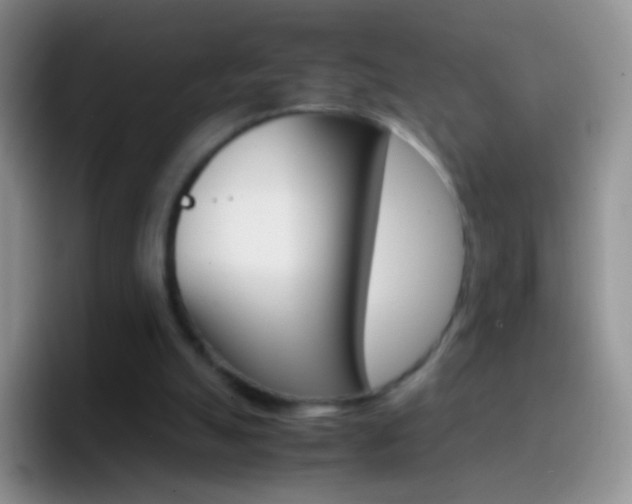 X0000097000055200802081036