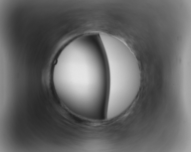 X0000097000056200802081036