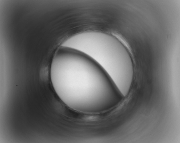 X0000097000057200802081036