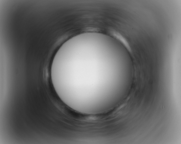 X0000097000059200802081036