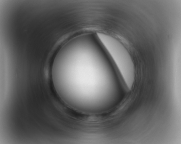 X0000097000064200802081036