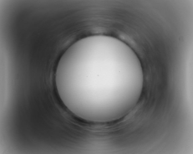 X0000097000066200802081036